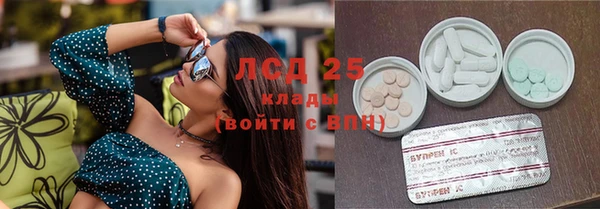 PSILOCYBIN Нефтекумск