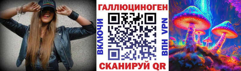 Галлюциногенные грибы Cubensis  блэк спрут сайт  Калач 