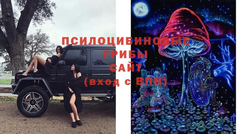 маркетплейс наркотические препараты  Калач  Псилоцибиновые грибы MAGIC MUSHROOMS  что такое  